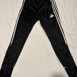 Adidas Pants