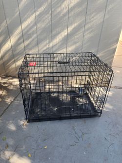Dog Crate
