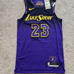 Nike LA Lakers LeBron James Authentic Jersey Size 40 Small NBA