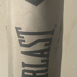 Punching Bag