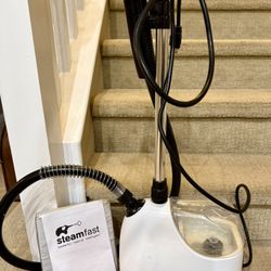 Steam fast Garment Steamer