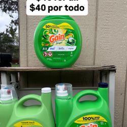 Gain Detergent Bundle