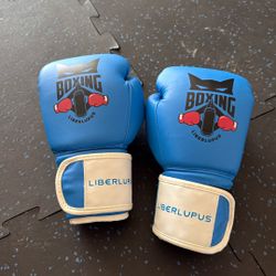 Fits Most Kids Boxing Gloves Liberlupus