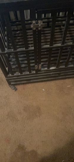 Steel Dog Cage