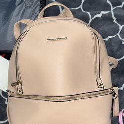 Purse/backpack