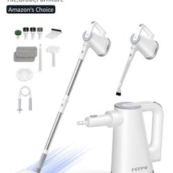 Feppo New Steam Mop/Detachable Handheld Steam Cleaner, W 10 Accessories