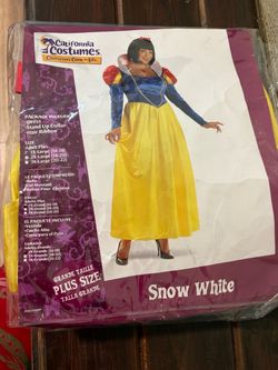 Snow White adult costume