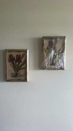 Botanical Floral Wall Art Prints Set of 2