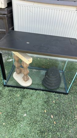Midsize terrarium 24 inches long by 12 inches wide and 17 inches
