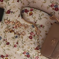 Coach Bag In Beige Smooth Leather 
