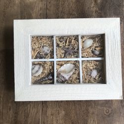 Home Decor Frame With Shells