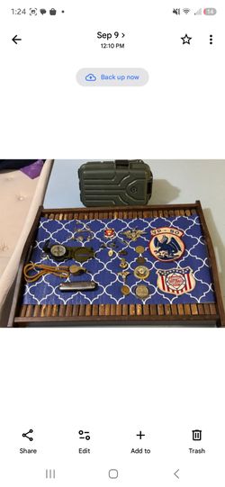 Vintage MILITARY INSIGNIA Lot with Camo dry box .