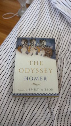 The Odyssey Emily Wilson translation