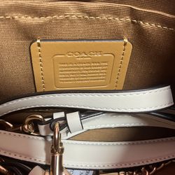 Terri Coach Bag
