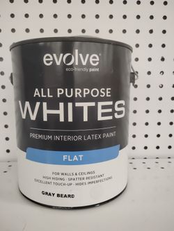 Gallons of Paint