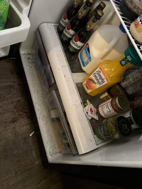 Cleaning House 🏠 Items