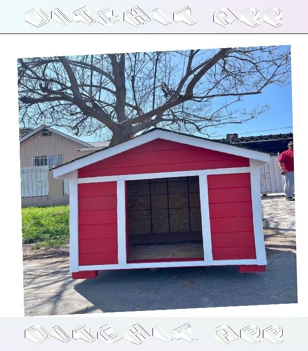 report politics Outdoor Pet Houses - Reliable Homes for Cheerful Pets