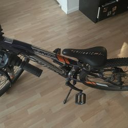 Schwinn Bike