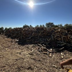 Firewood