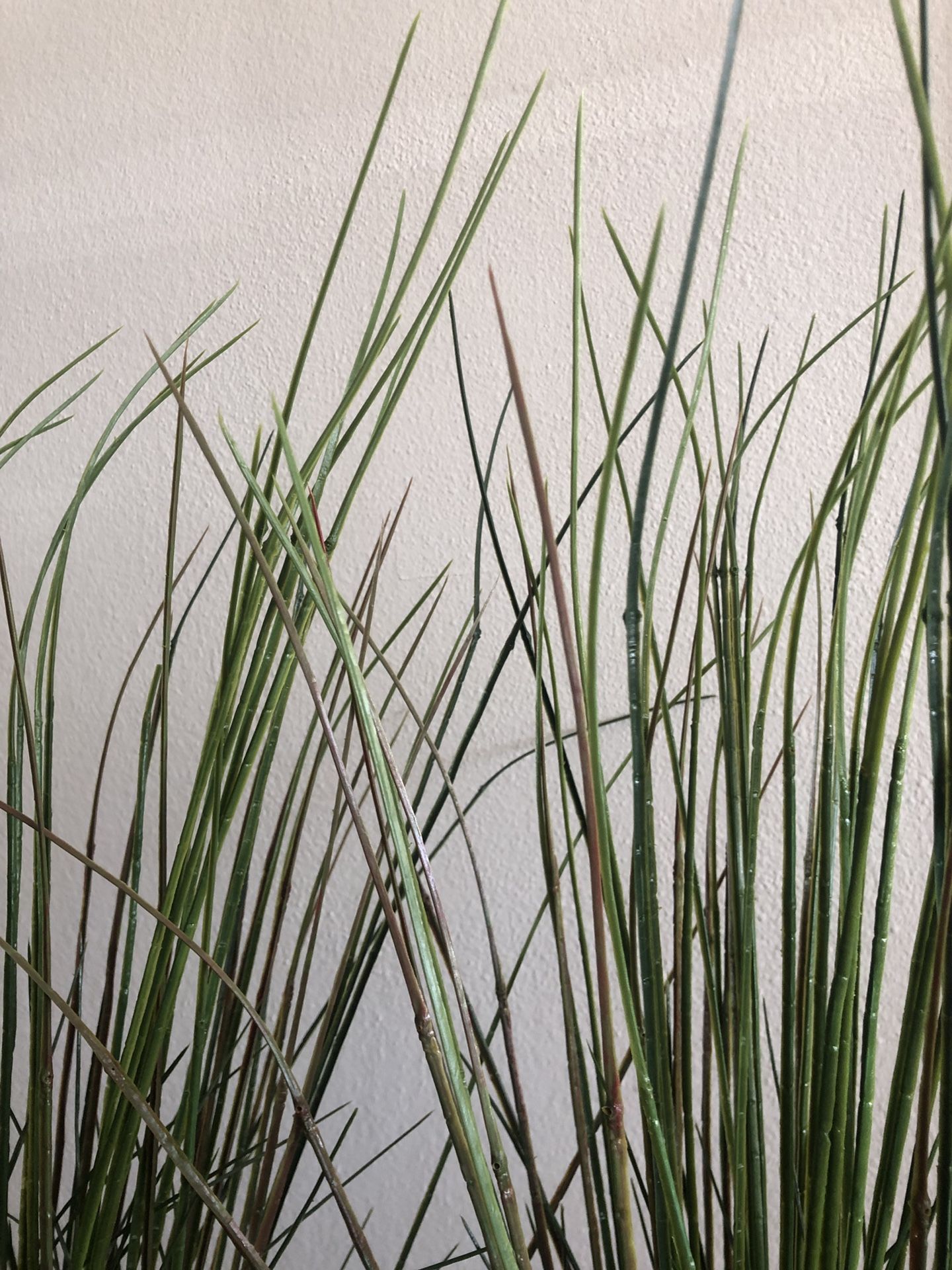 IKEA FEJKA Artificial potted plant, grass (2) for Sale in San Diego, CA OfferUp