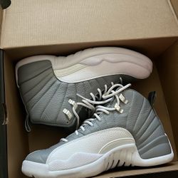 Jordan 12 “stealth”