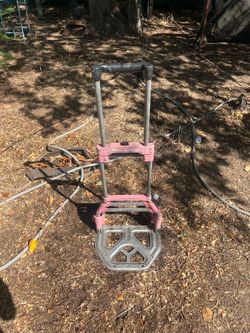 Milwaukee Dolly