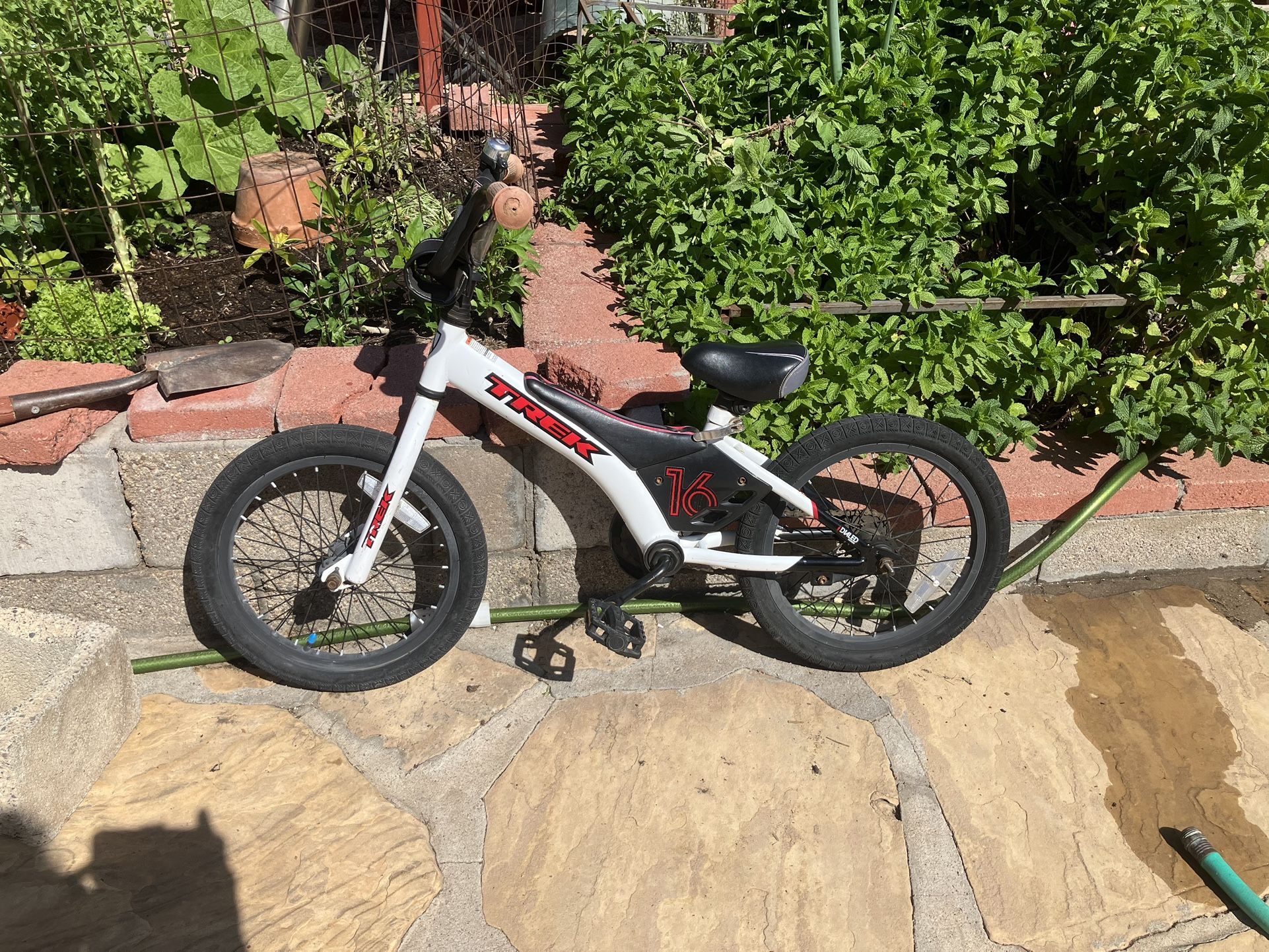 Boys Trek Bike