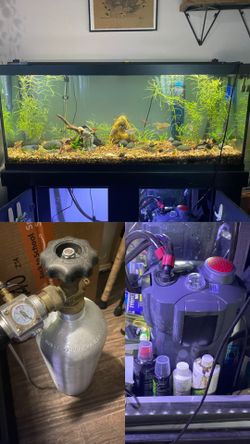 Full Loaded Fish Tank Everything Included Must Go