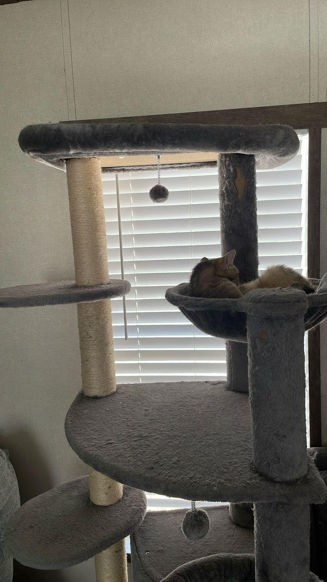 Cat Tree