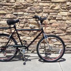 1980 Jamis Boss Cruiser 26" SUMO Wheels