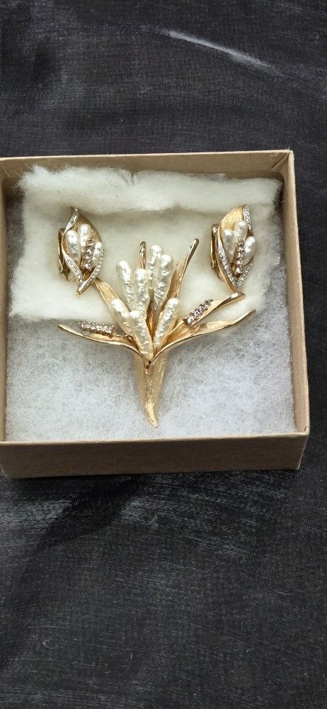 Pin Brooch And Clip On Earrings