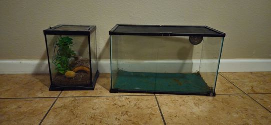 Reptile aquariums.