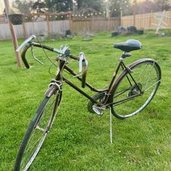 Vintage 1970 Schwinn Suburban - Sierra Brown, 10 speed
