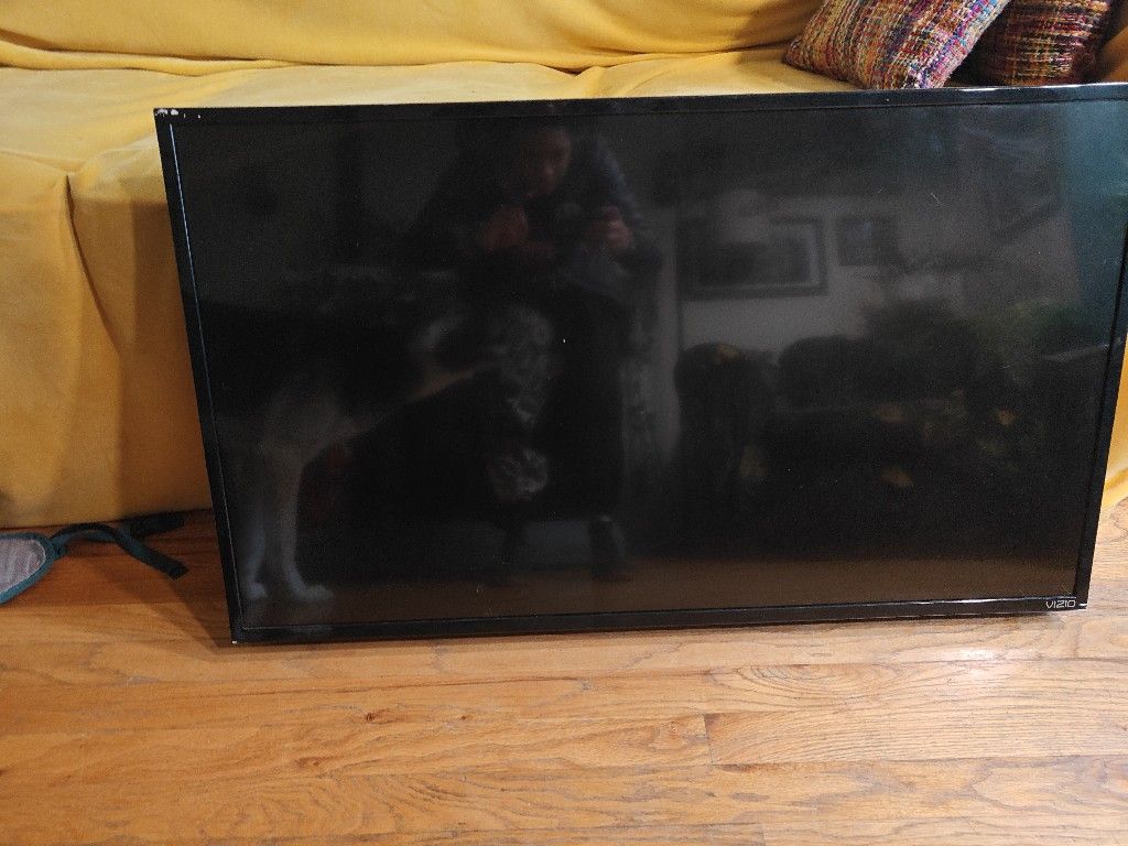 42" Vizio