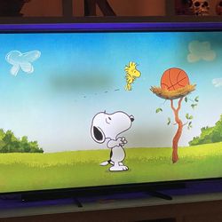 65 in Vizio Tv