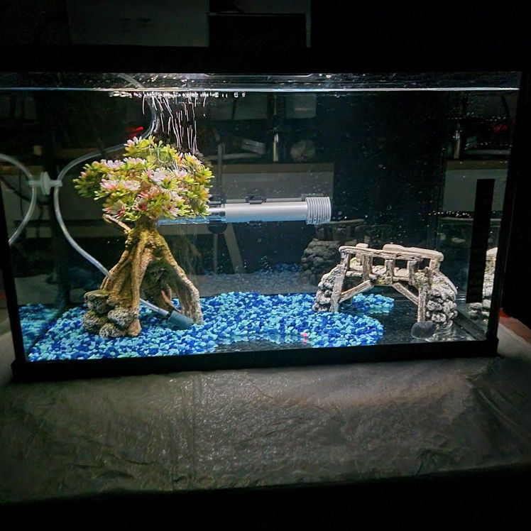 10 G Fish Tank, Ready For Fish
