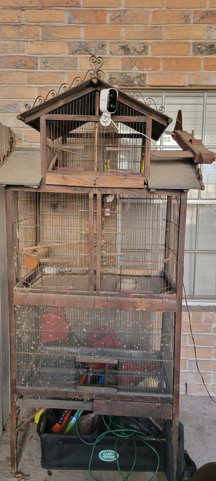 Bird Cage