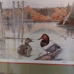 Very Large! Al Dornisch 1980 Signed And Numbered 298/750 Duck Print Measures: 25" Tall 35" Wide. Will Ship!