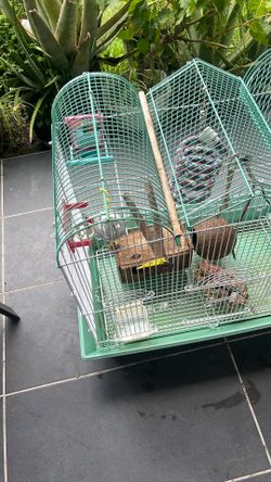 Bird cage