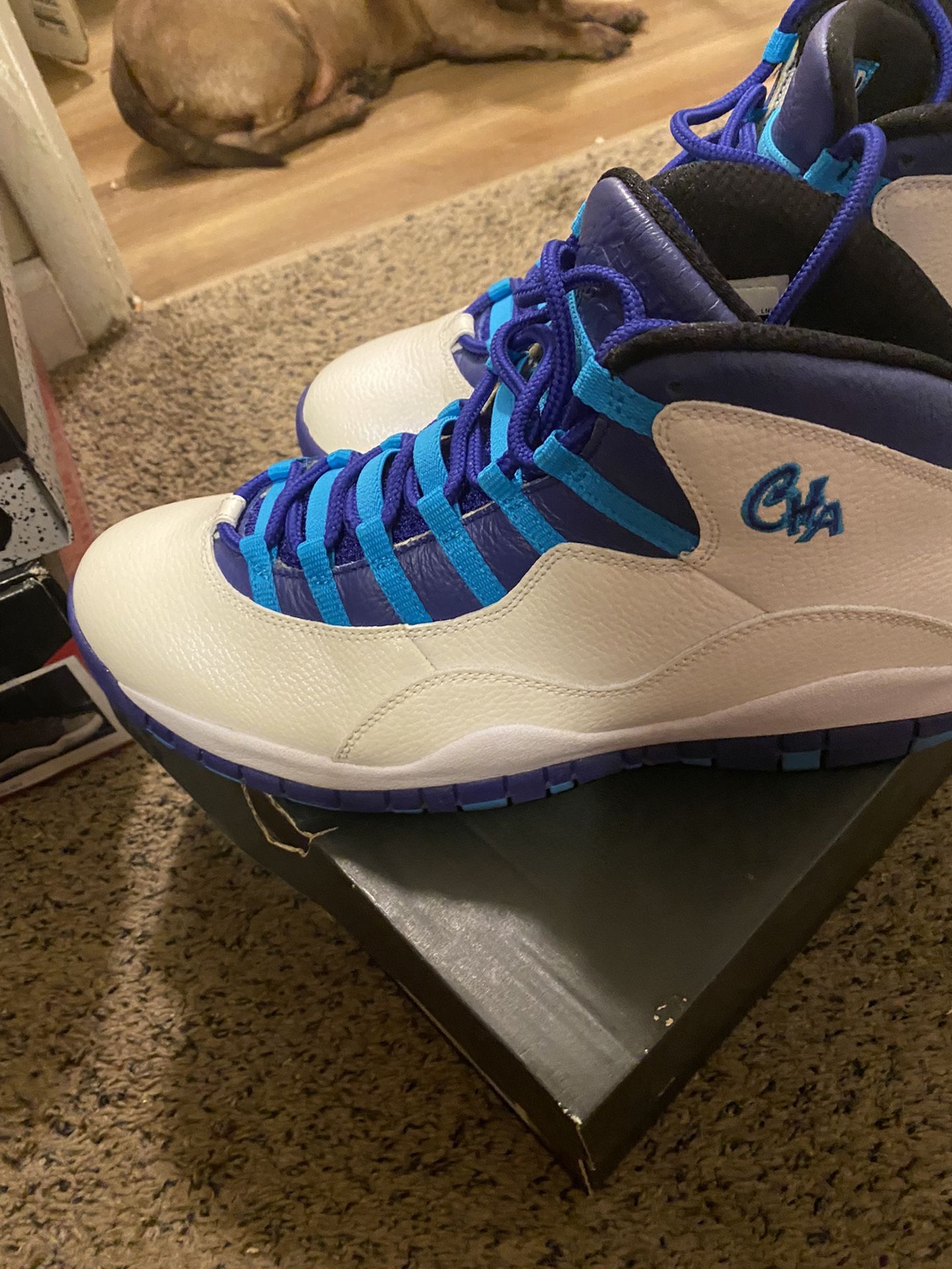 Jordan Retro 10 CHA - White/ Purple/ Turquoise 