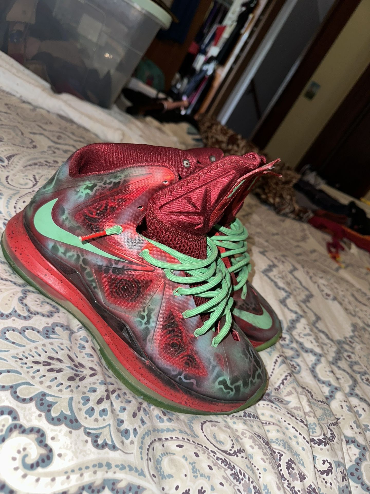 LeBron 10 Size 9.5