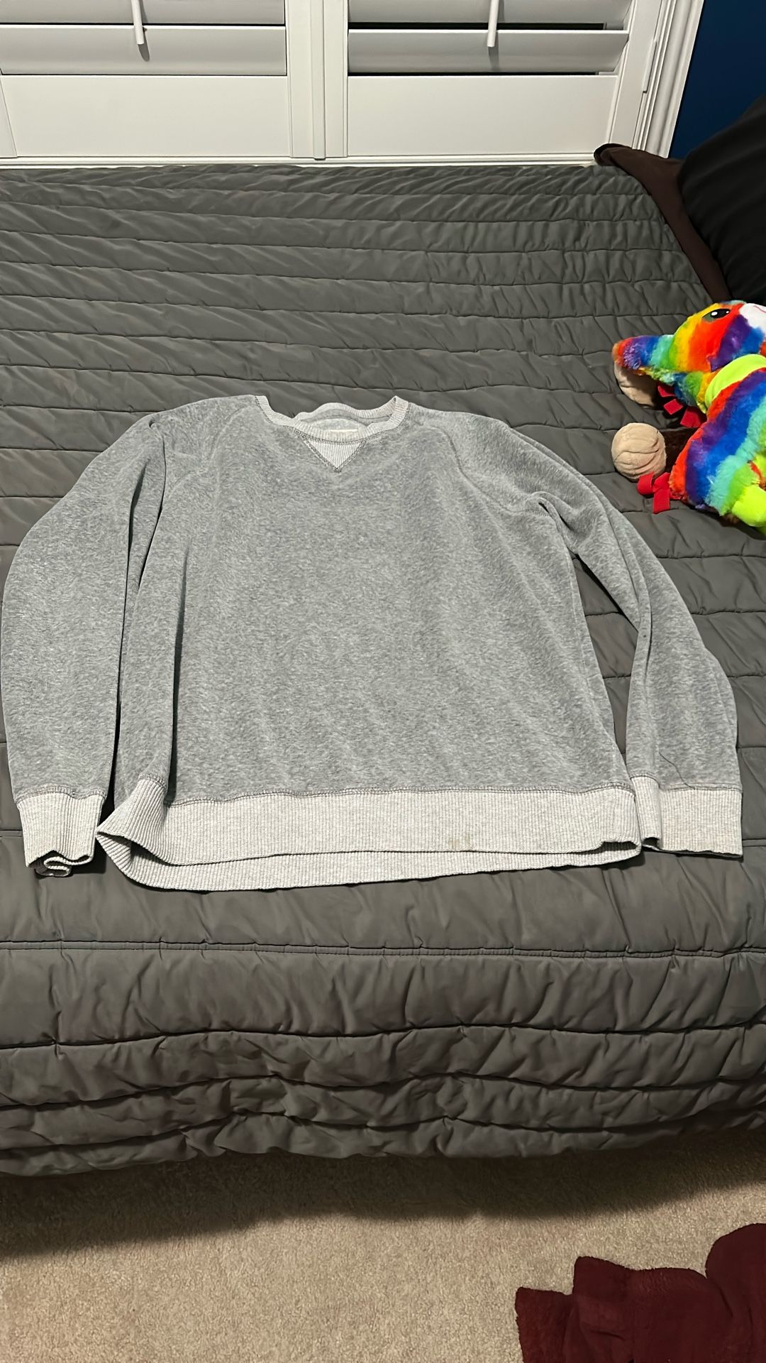Hollister Velour Crew Neck