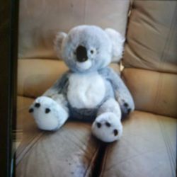 Small Kola Bear Stuff Animal 