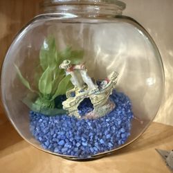 Fish Bowl 