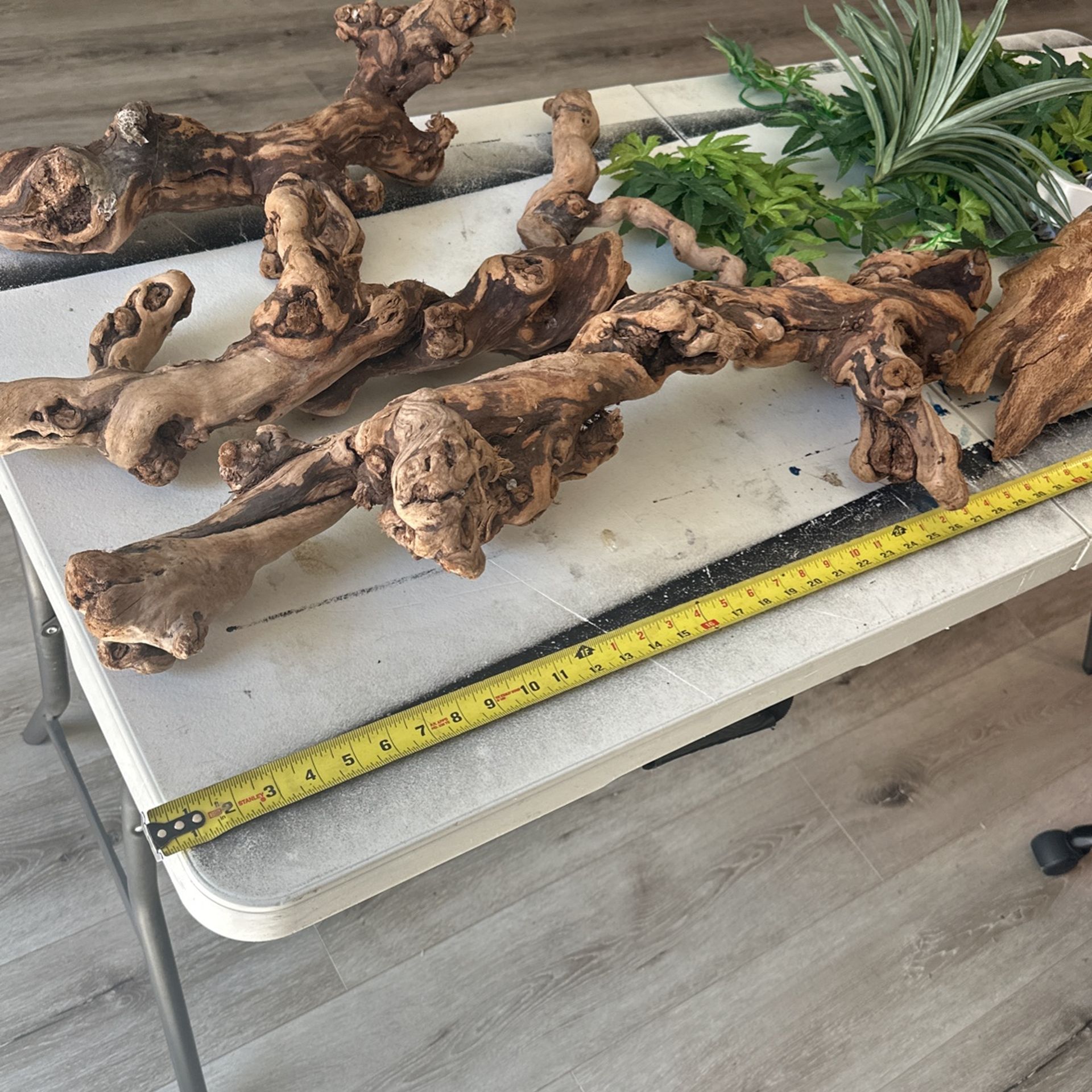 Reptile Or Terrarium Supplies And Decorations 