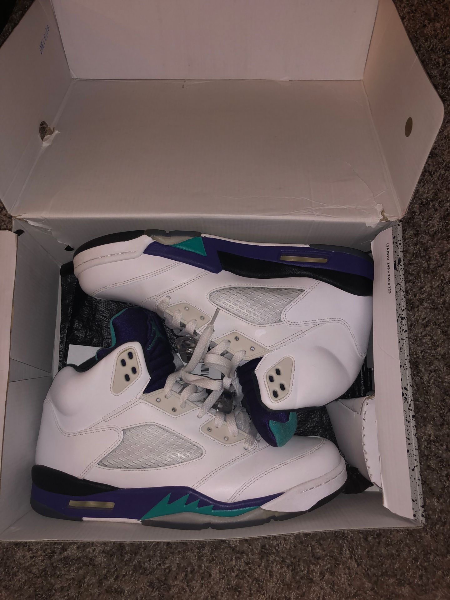 Jordan Grape 5s