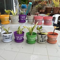 Succulents with phrases