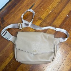Freshly Picked Taupe Crossbody Belt Bag