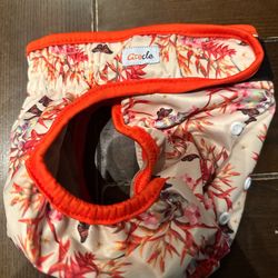 Pet Under Wear Girl Dogs Or Cat 