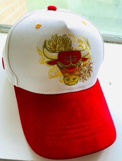 RARE Chicago Bulls Hat